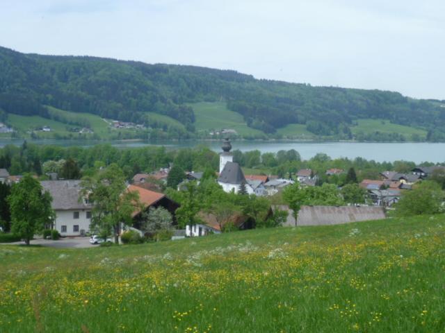 Wunderschoene Ferienwohnung Mit Seeblick زيل أم موس المظهر الخارجي الصورة