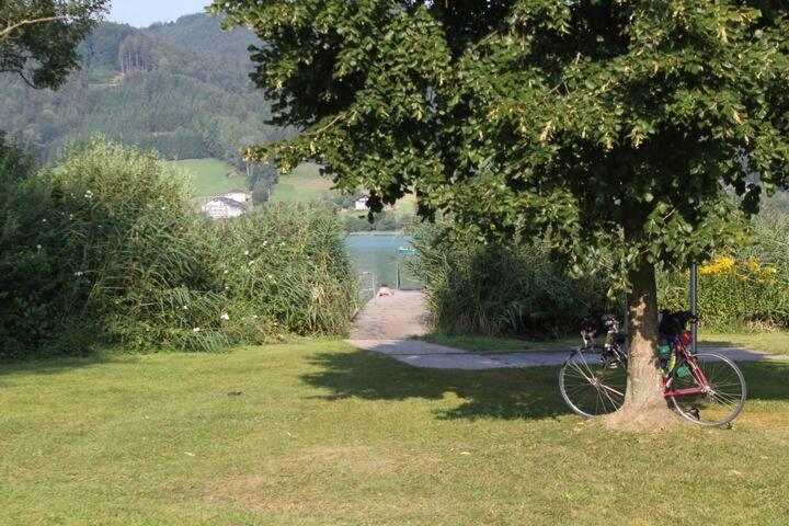 Wunderschoene Ferienwohnung Mit Seeblick زيل أم موس المظهر الخارجي الصورة